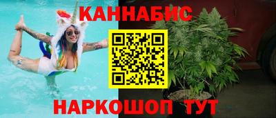 хмурый Кингисепп