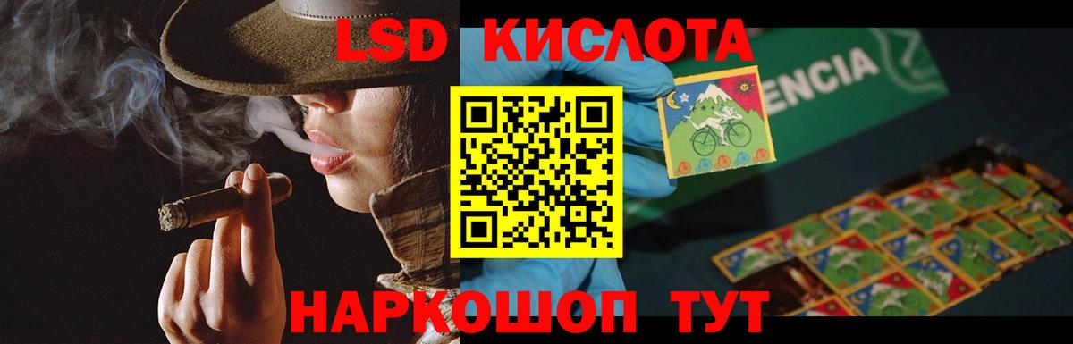 Альфа ПВП Кострома