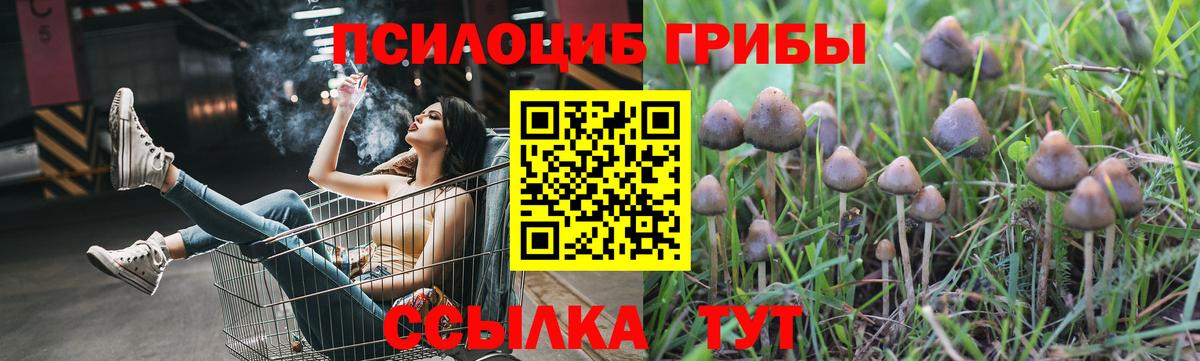 Галлюциногенные грибы Magic Shrooms Кострома